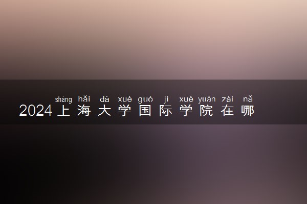 2024上海大学国际学院在哪个校区 有什么优势