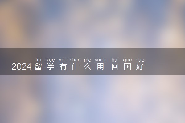 2024留学有什么用 回国好找工作吗