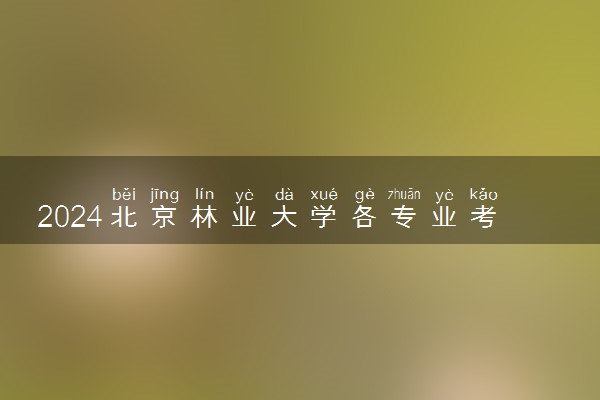 2024北京林业大学各专业考研分数线一览表 历年复试线汇总