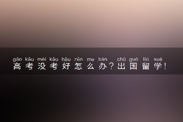 高考没考好怎么办？出国留学！