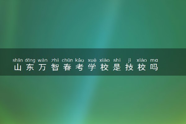 山东万智春考学校是技校吗