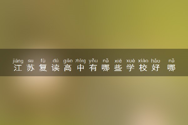 江苏复读高中有哪些学校好 哪家实力最强