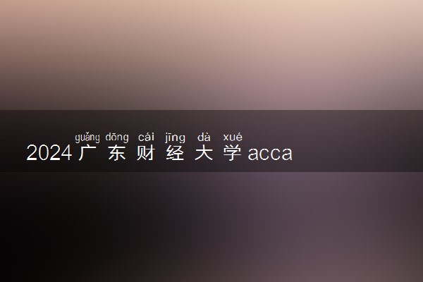 2024广东财经大学acca班好吗 就业前景怎么样