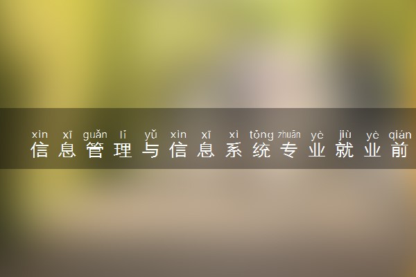 信息管理与信息系统专业就业前景 可以做哪些工作