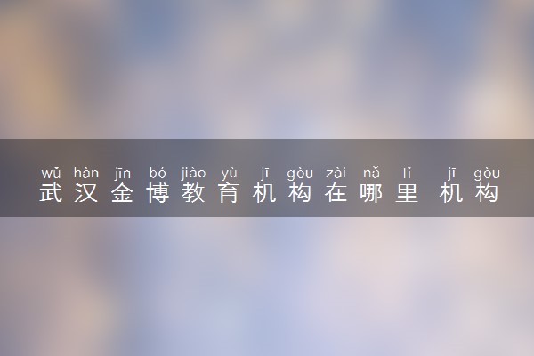 武汉金博教育机构在哪里 机构怎么样