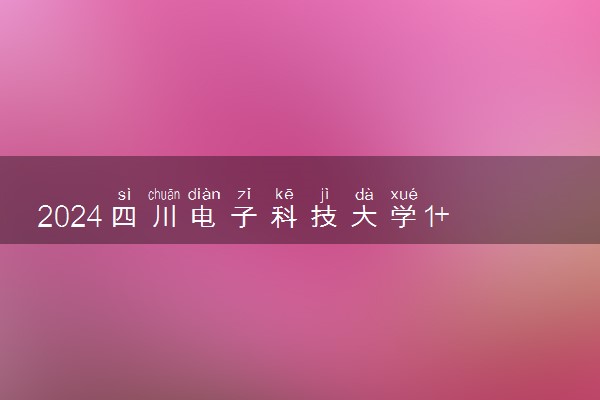 2024四川电子科技大学1+3项目是教育部审批的吗