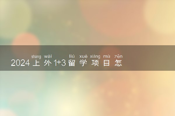 2024上外1+3留学项目怎么样 靠谱吗