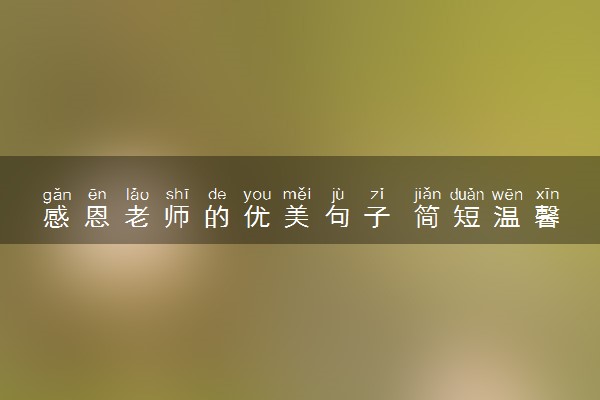 感恩老师的优美句子 简短温馨的祝福
