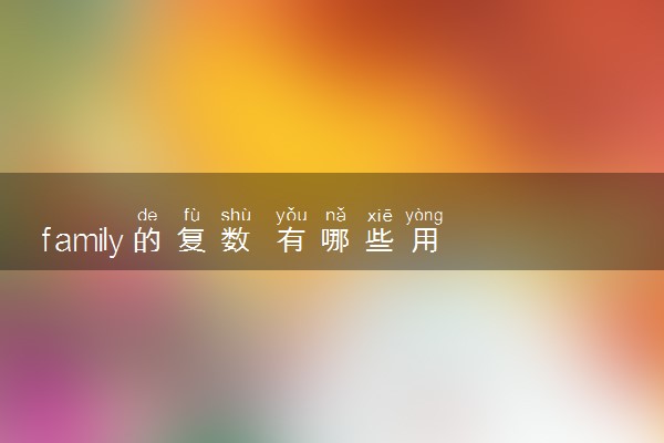 family的复数 有哪些用法