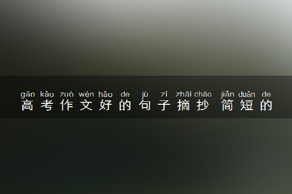 高考作文好的句子摘抄 简短的金句