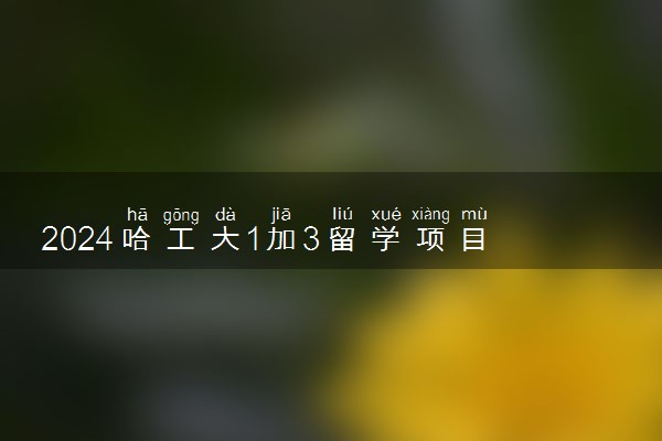 2024哈工大1加3留学项目好吗 项目亮点是什么