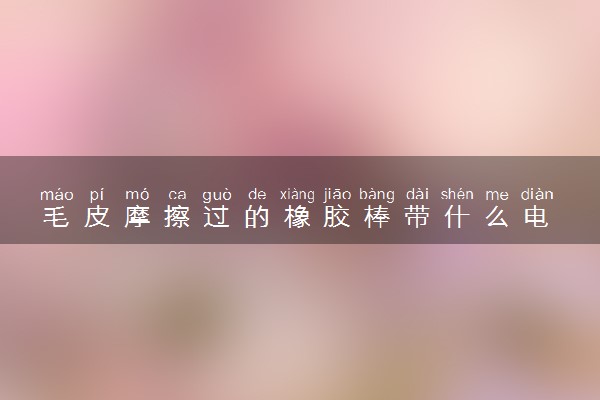 毛皮摩擦过的橡胶棒带什么电 原理是什么