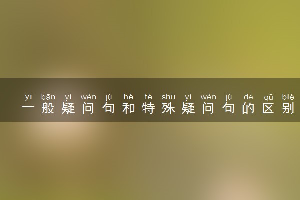 一般疑问句和特殊疑问句的区别有哪些 有什不同