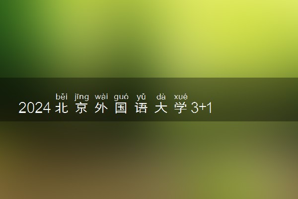 2024北京外国语大学3+1是咋回事 有哪些专业可以选