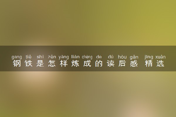 钢铁是怎样炼成的读后感 精选优秀范文