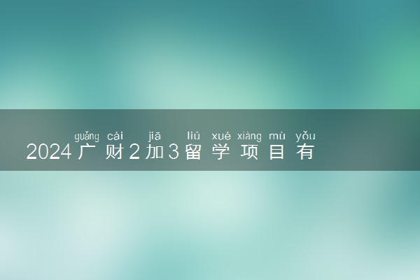 2024广财2加3留学项目有什么优势 是官方办学吗