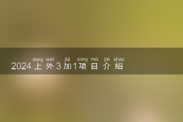 2024上外3加1项目介绍 是否正规靠谱