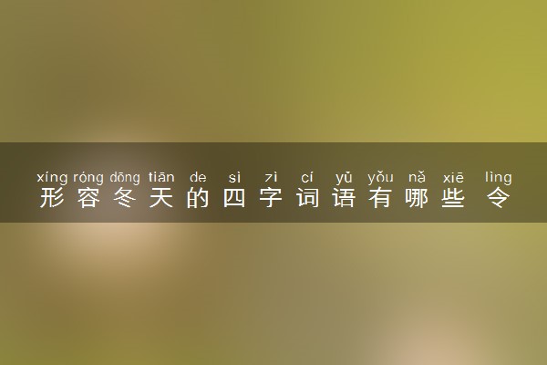形容冬天的四字词语有哪些 令人惊艳的句子摘抄