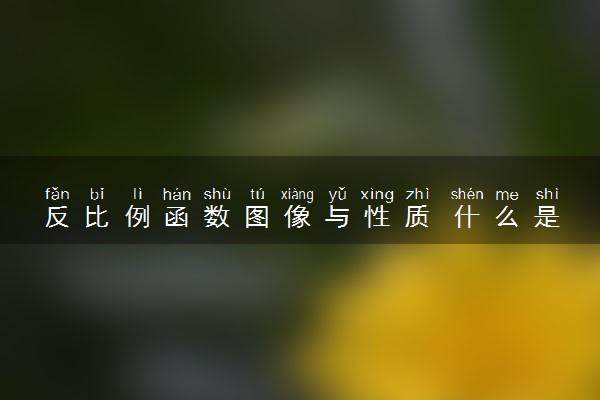 反比例函数图像与性质 什么是反比例函数