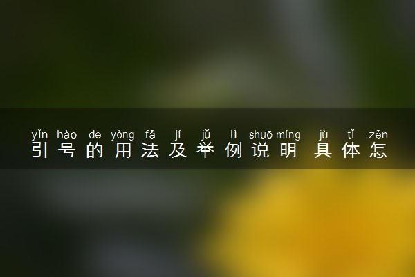 引号的用法及举例说明 具体怎么使用