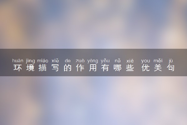 环境描写的作用有哪些 优美句子积累