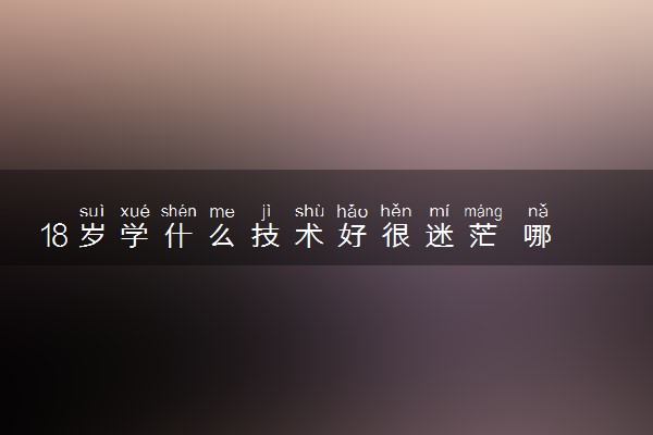 18岁学什么技术好很迷茫 哪些技术有发展