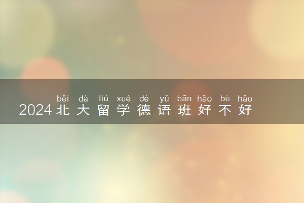 2024北大留学德语班好不好 有什么要求