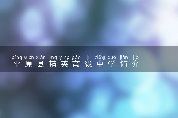 平原县精英高级中学简介