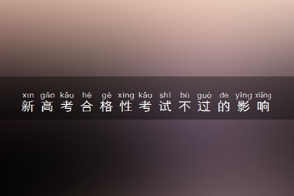 新高考合格性考试不过的影响 能补考吗