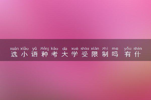 选小语种考大学受限制吗 有什么利弊
