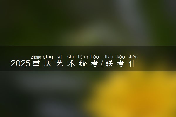 2025重庆艺术统考/联考什么时候考试 具体考试时间安排