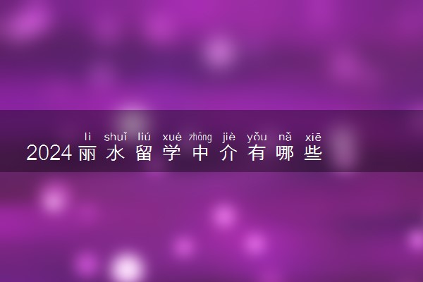 2024丽水留学中介有哪些 费用高吗