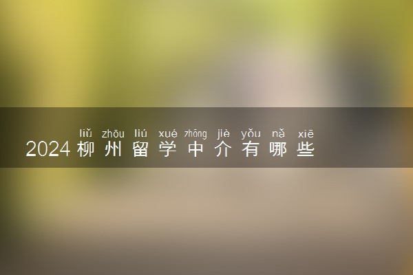 2024柳州留学中介有哪些 哪个机构好