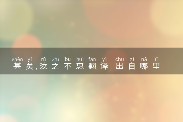 甚矣,汝之不惠翻译 出自哪里