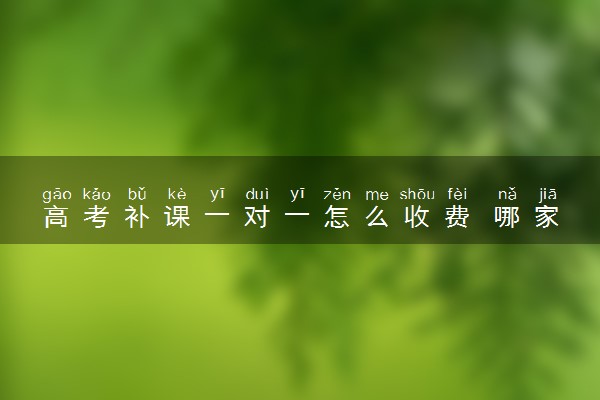 高考补课一对一怎么收费 哪家补课机构好