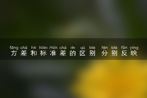 方差和标准差的区别 分别反映了什么