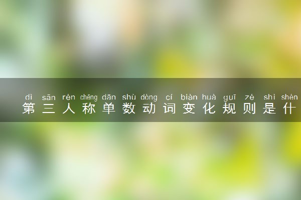 第三人称单数动词变化规则是什么 如何判断加不加s