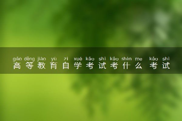 高等教育自学考试考什么 考试重点有哪些