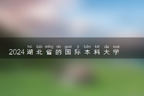 2024湖北省的国际本科大学有哪些 学历认可吗