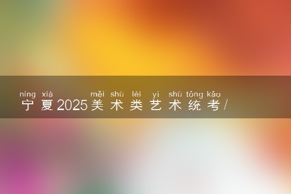 宁夏2025美术类艺术统考/联考满分多少 各科分值是多少