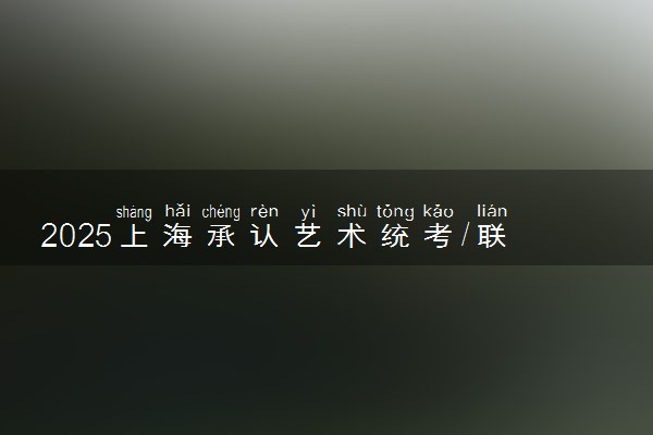 2025上海承认艺术统考/联考成绩的学校及专业 最新汇总