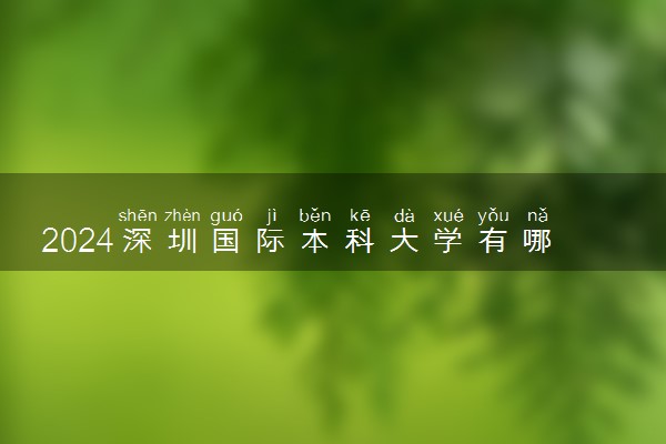 2024深圳国际本科大学有哪些 含金量高吗