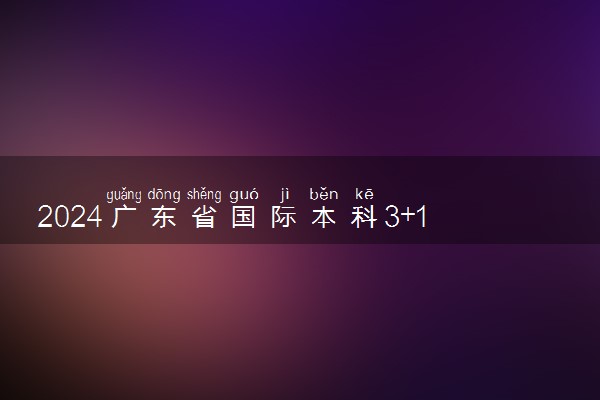 2024广东省国际本科3+1有哪些学校不岀国的 值得读吗