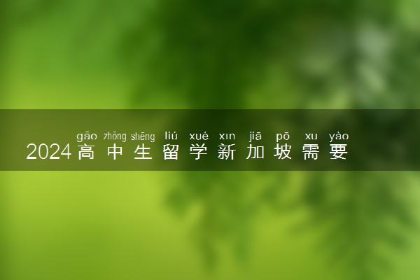 2024高中生留学新加坡需要什么条件 要准备什么
