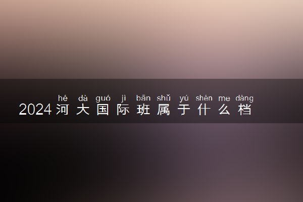 2024河大国际班属于什么档次 值得去读吗