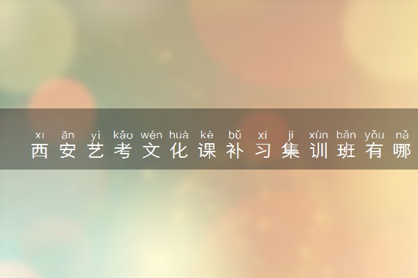 西安艺考文化课补习集训班有哪些
