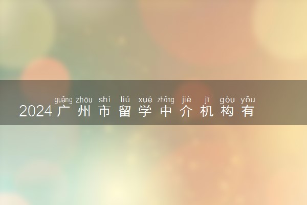 2024广州市留学中介机构有哪些 怎么收费