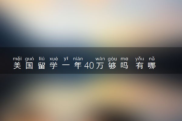 美国留学一年40万够吗 有哪些要求