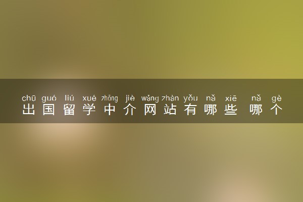 出国留学中介网站有哪些 哪个好