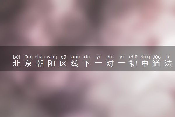 北京朝阳区线下一对一初中道法老师推荐